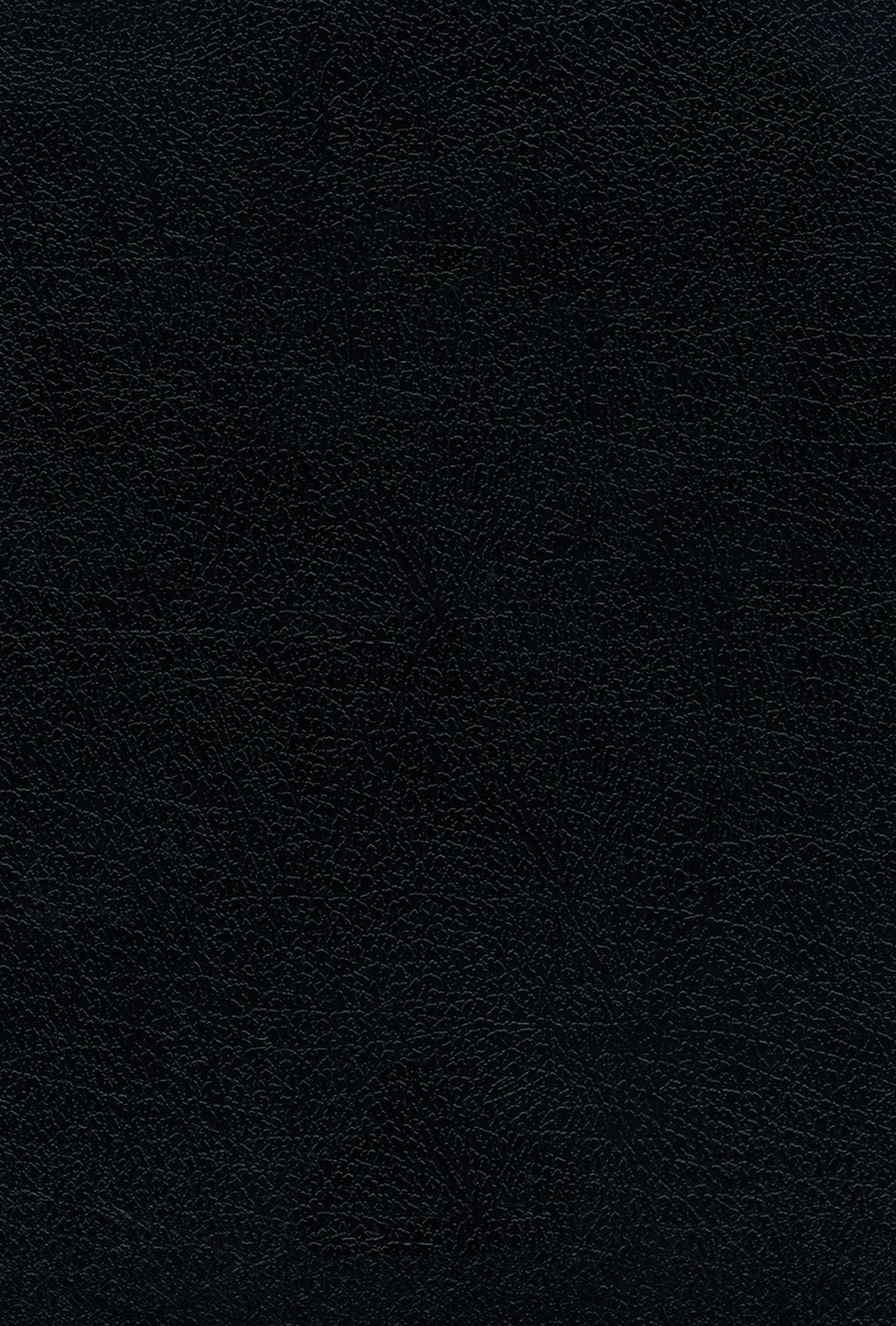 Reina Valera 1960 Santa Biblia Ultrafina Letra Grande, Piel Fabricada, Negro, Interior a dos colores