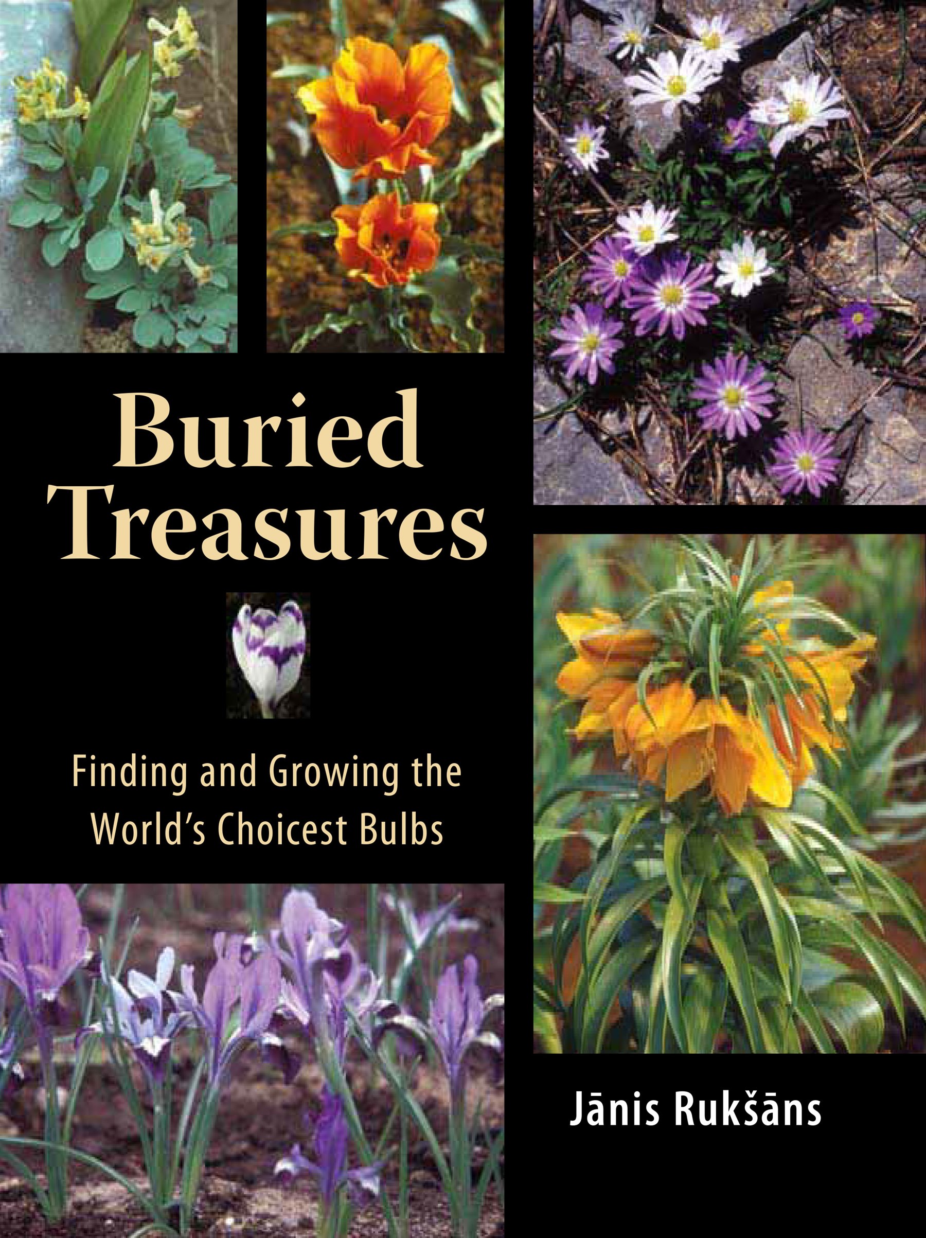 Buried Treasures