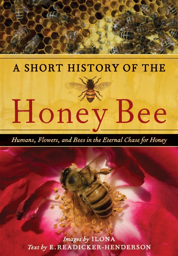 A Short History of the Honey Bee