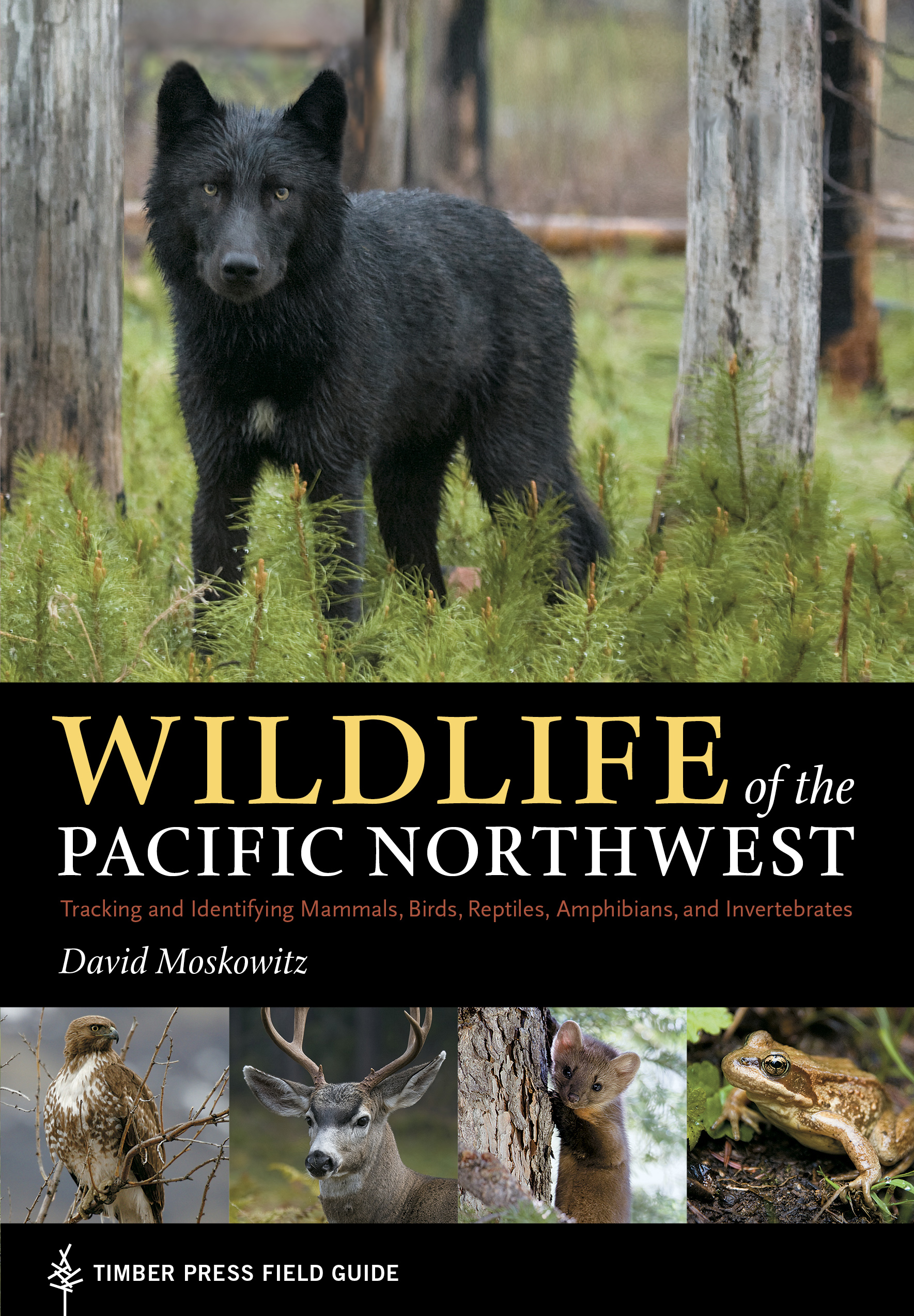 Wildlife of the Pacific Northwest