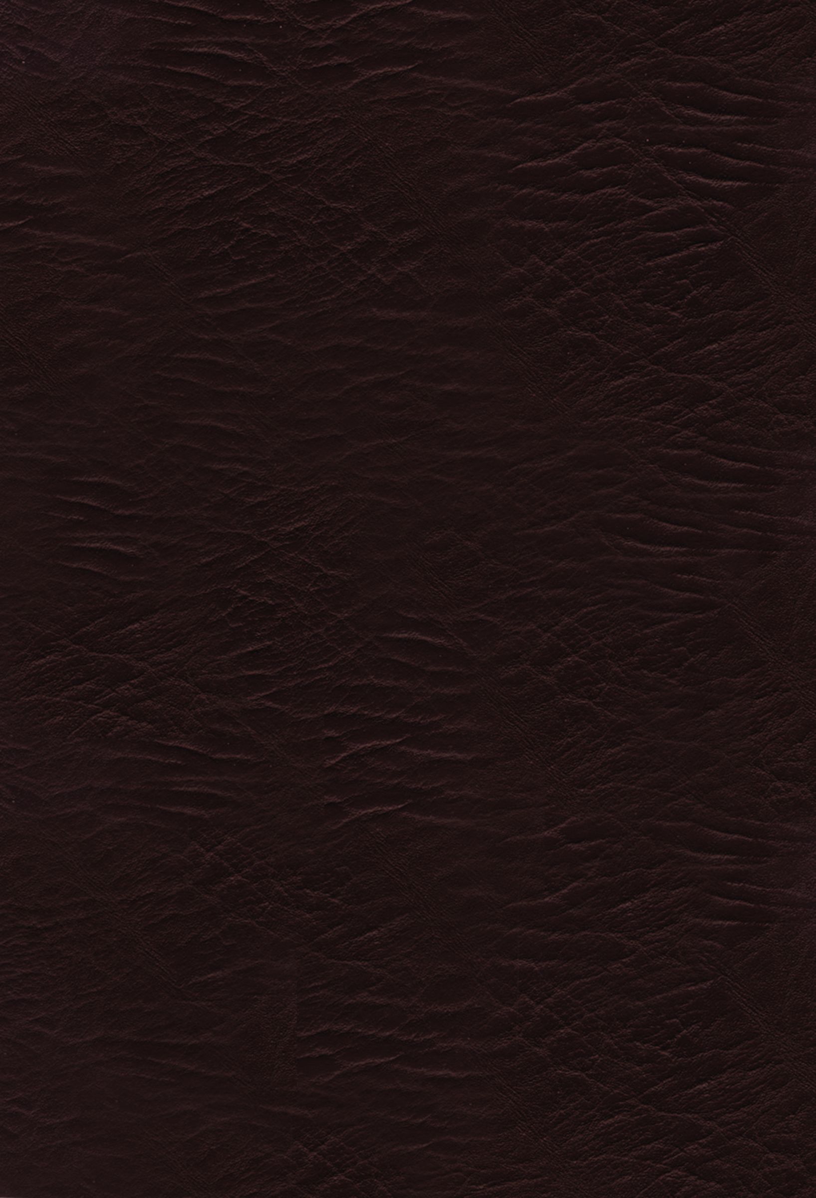 NKJV, The Woman's Study Bible, Bonded Leather, Burgundy, Thumb Indexed
