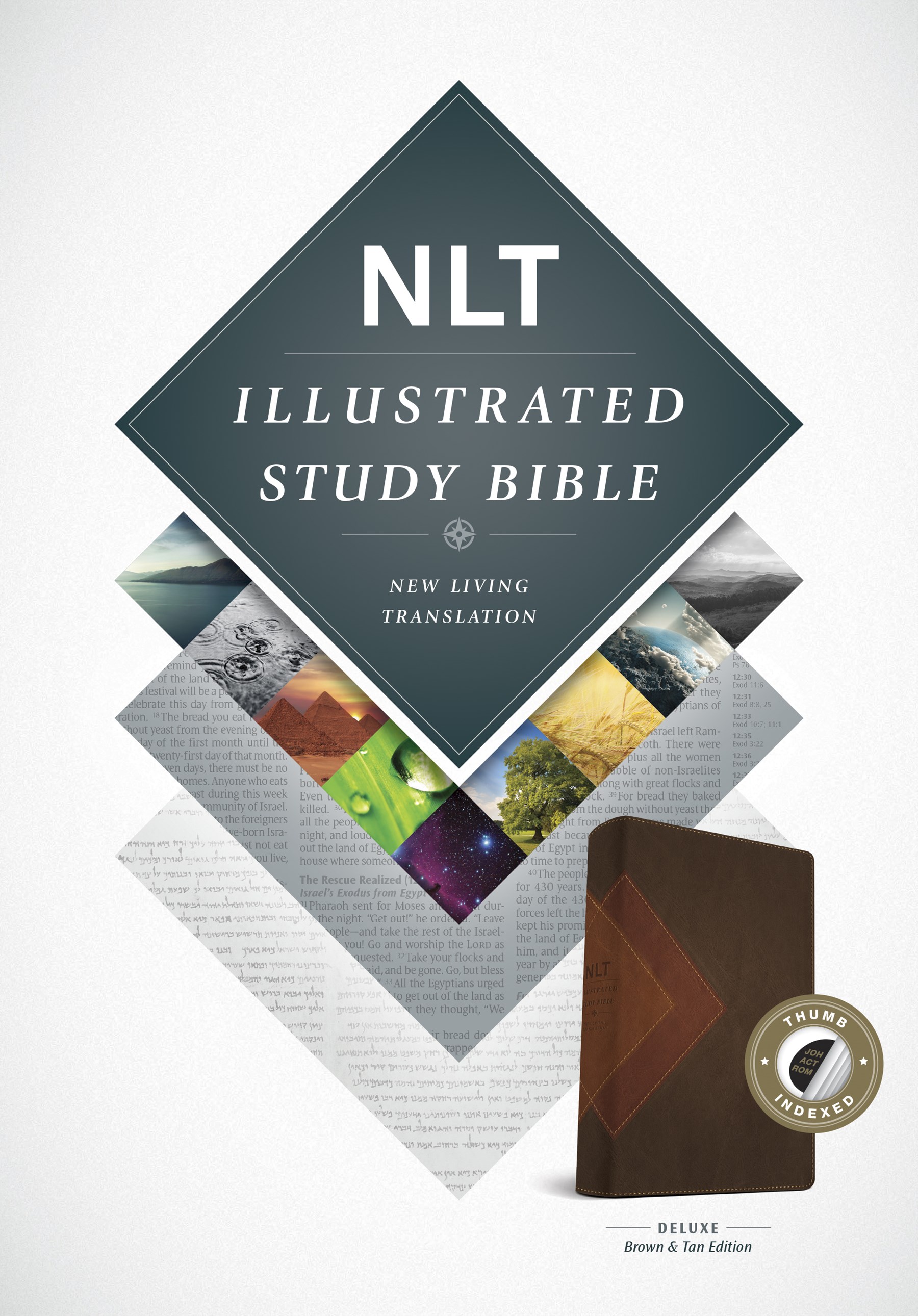 Illustrated Study Bible NLT, TuTone (LeatherLike, Brown/Tan, Indexed)