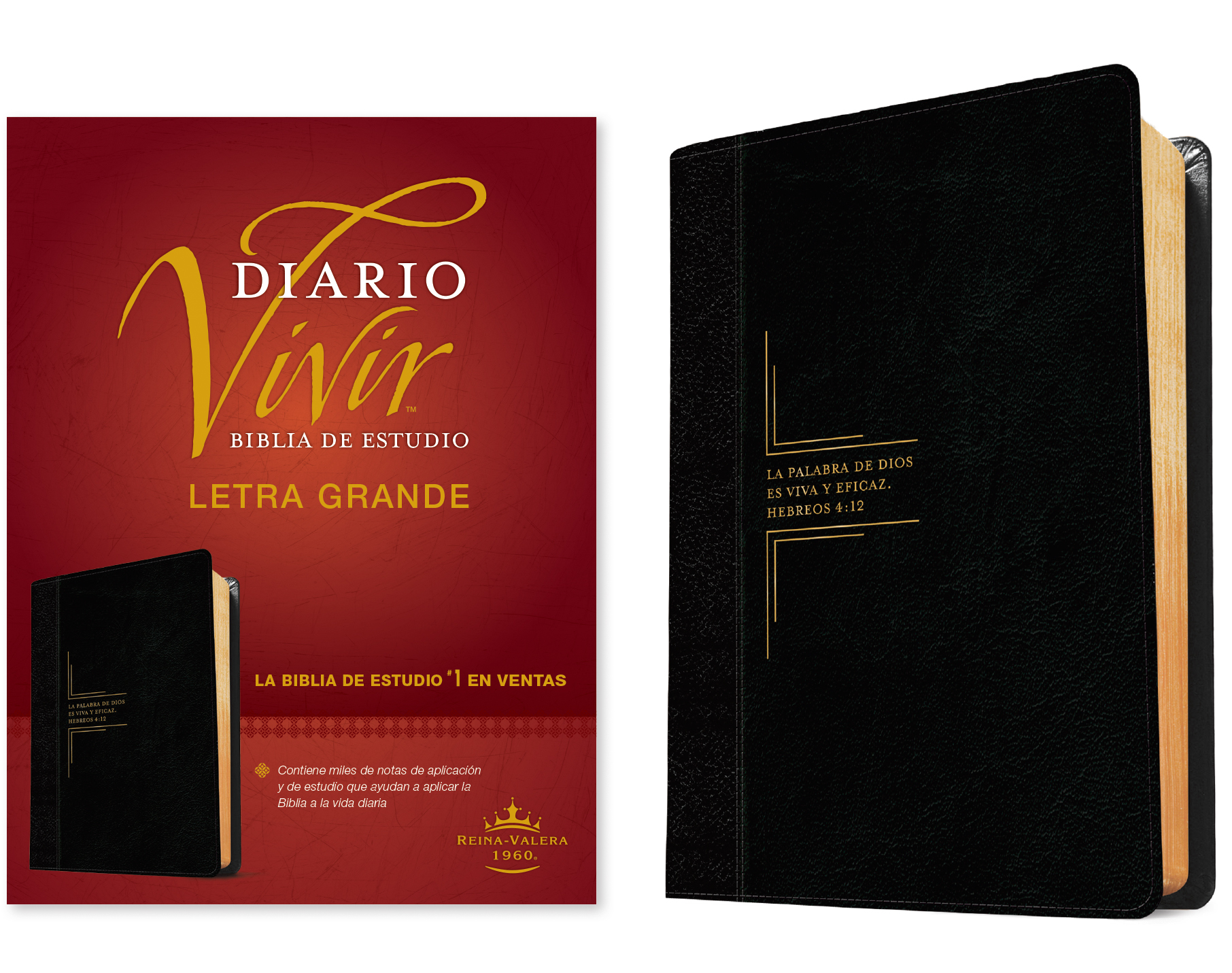 Biblia de estudio del diario vivir RVR60, letra grande (Letra Roja, SentiPiel, Negro/Ónice)