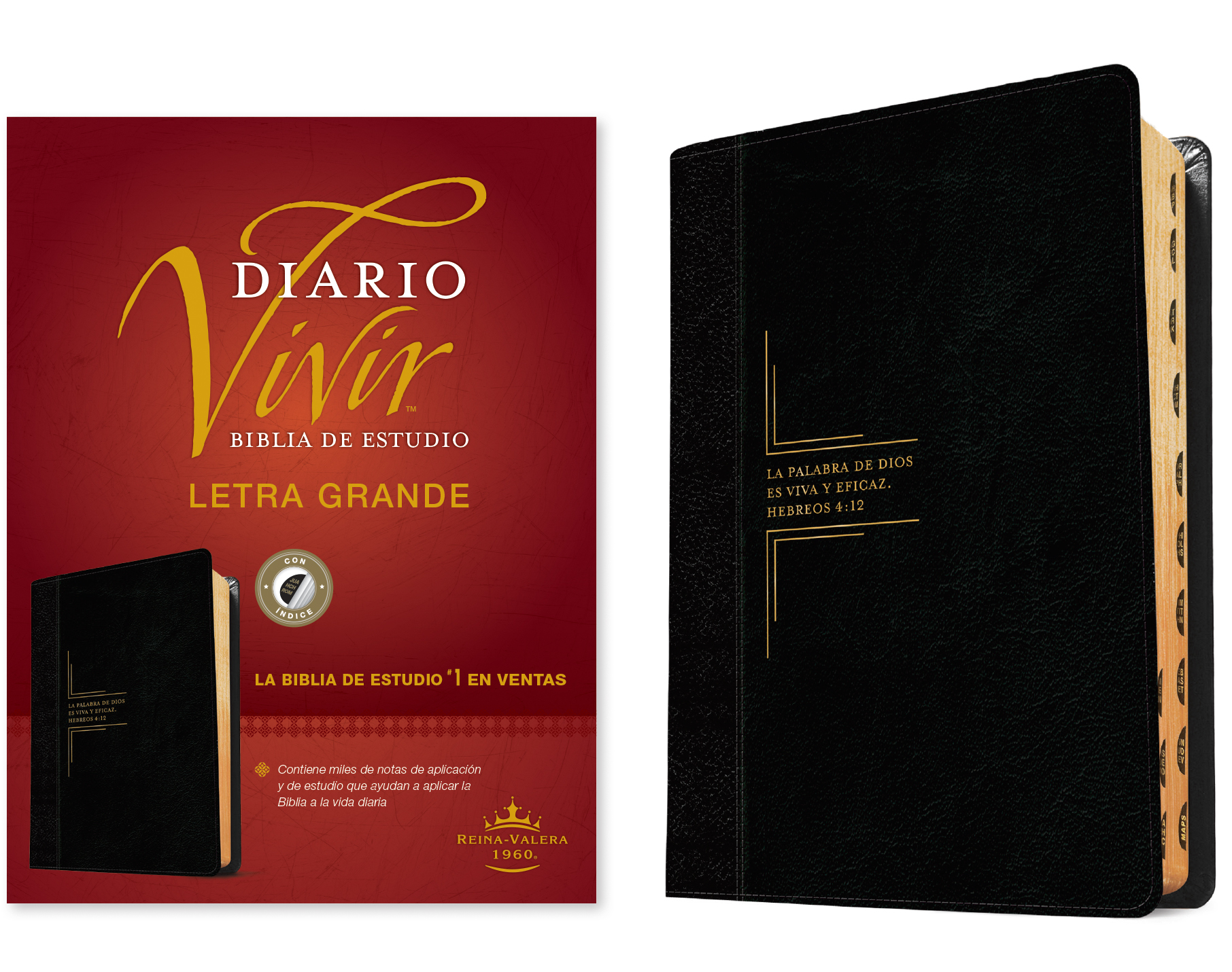 Biblia de estudio del diario vivir RVR60, letra grande (Letra Roja, SentiPiel, Negro/Ónice, Índice)