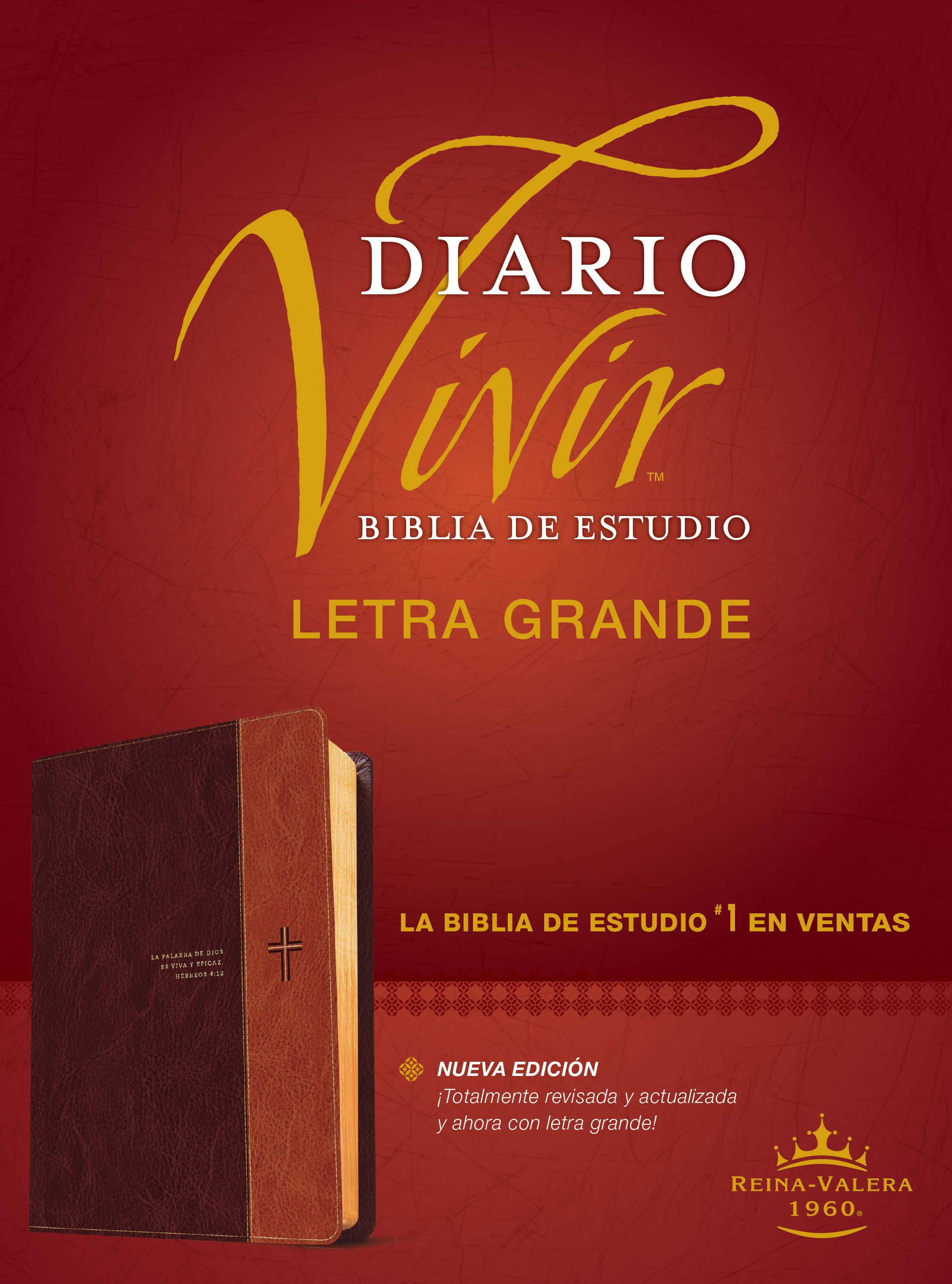 Biblia de estudio del diario vivir RVR60, letra grande (Letra Roja, SentiPiel, Café/Café claro)
