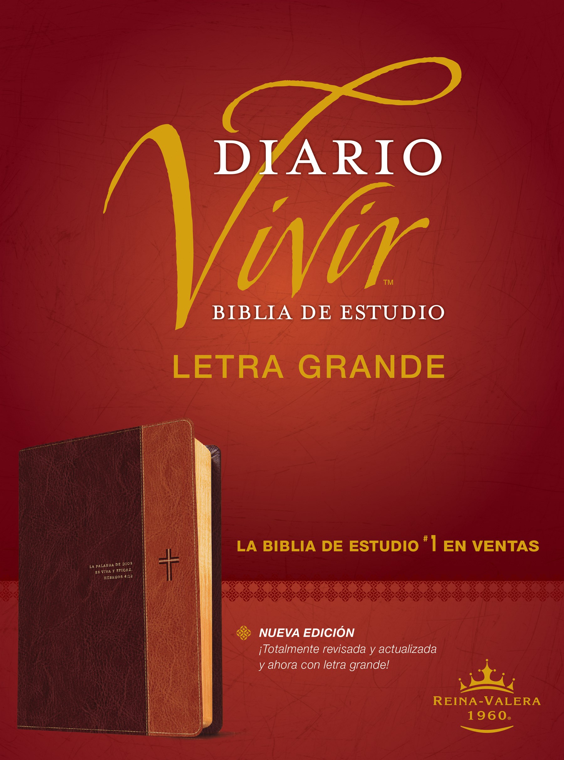 Biblia de estudio del diario vivir RVR60, letra grande (Letra Roja, SentiPiel, Café/Café claro, Índice)