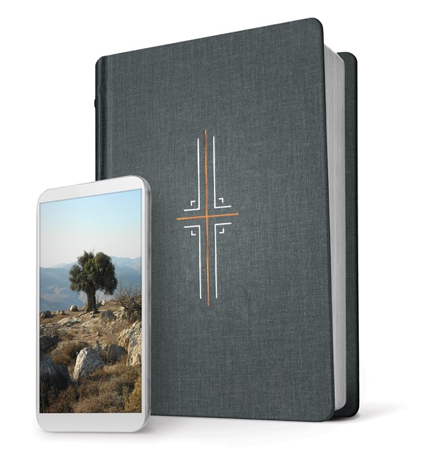 Filament Bible NLT (Hardcover Cloth, Gray, Indexed)