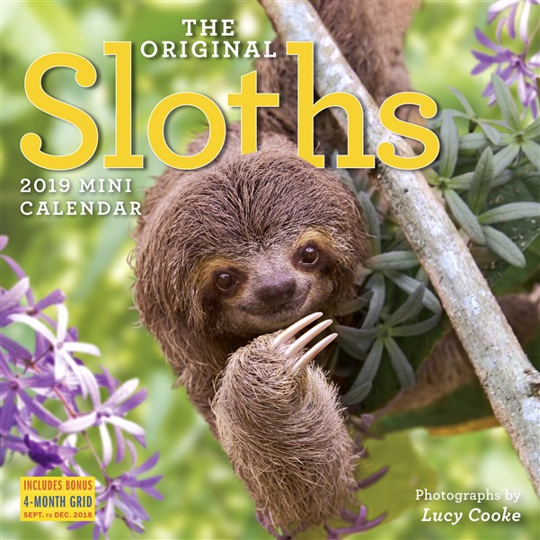 The Original Sloths Mini Wall Calendar 2019