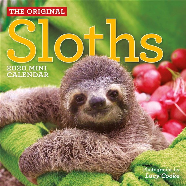 Original Sloths Mini Wall Calendar 2020