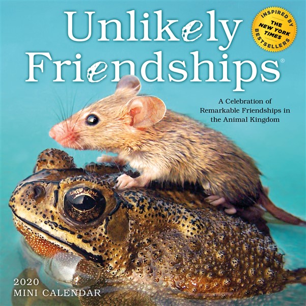 Unlikely Friendships Mini Wall Calendar 2020