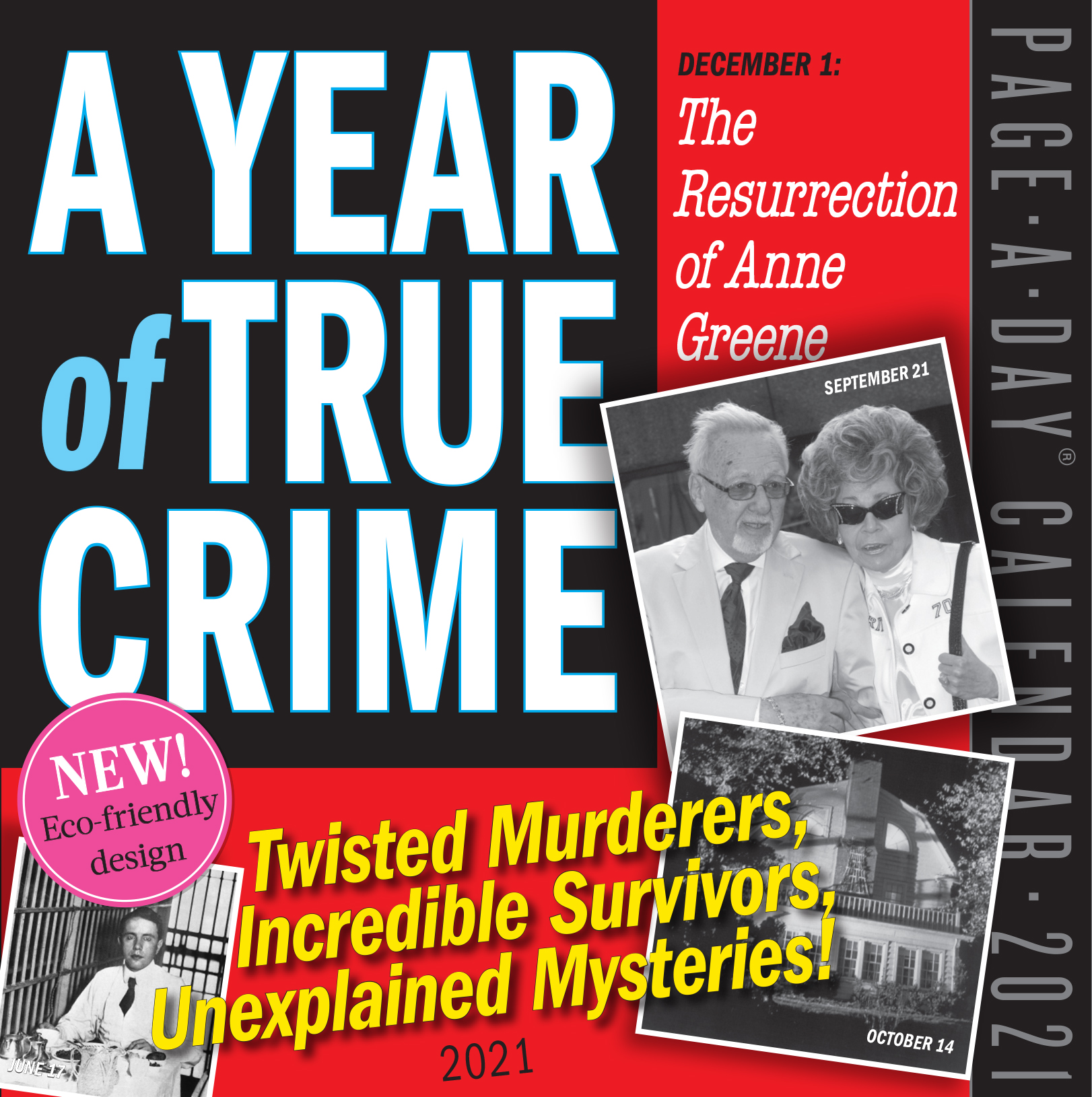 A Year of True Crime Page-A-Day Calendar 2021