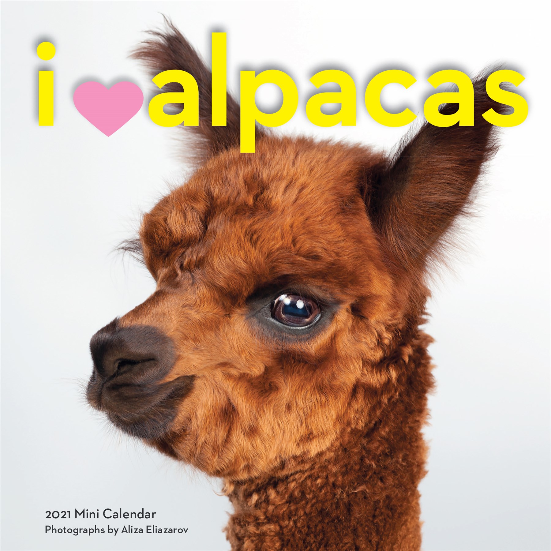 I Heart Alpacas Mini Wall Calendar 2021