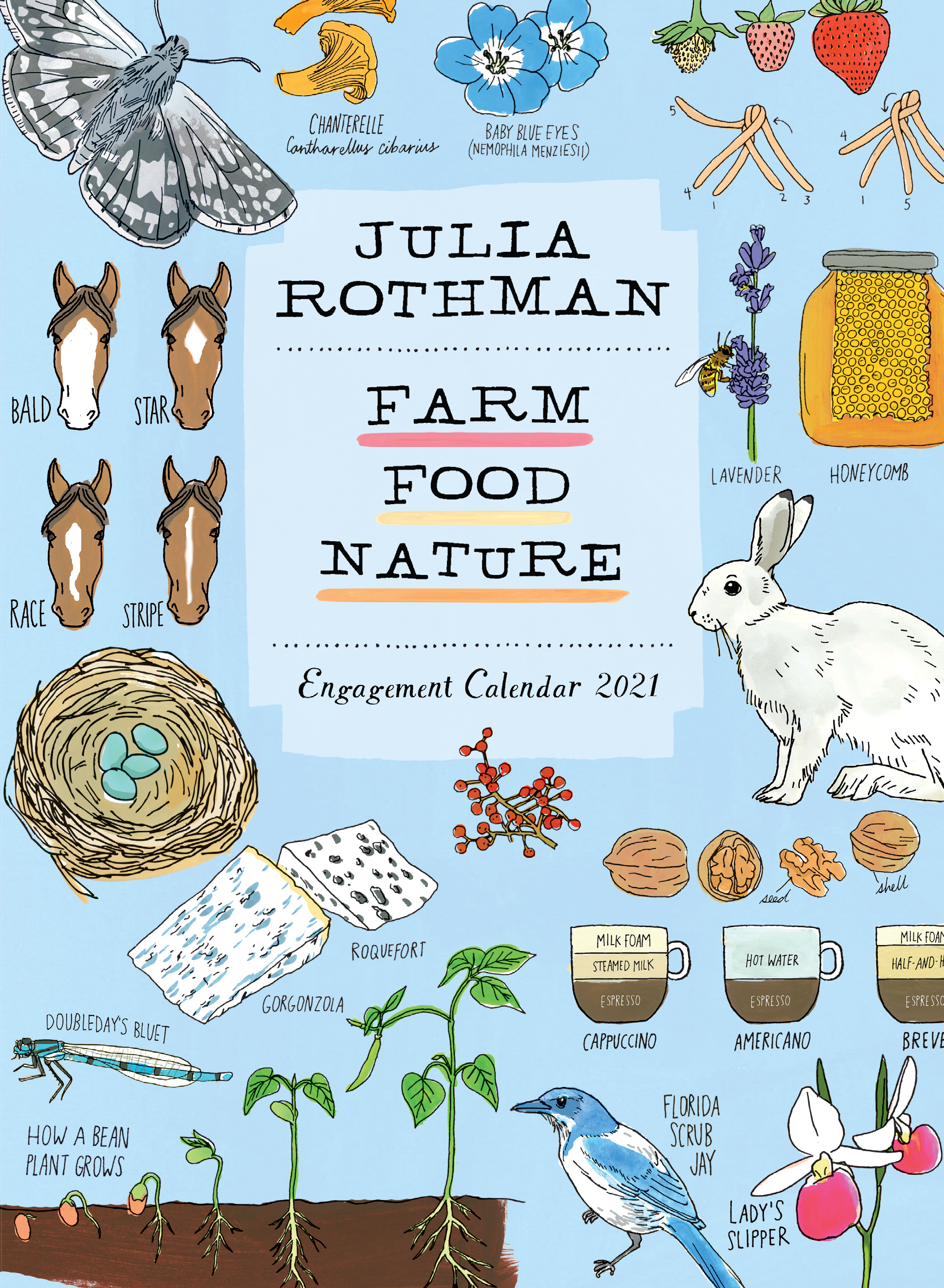 Julia Rothman: Farm, Food, Nature Engagement Calendar 2021