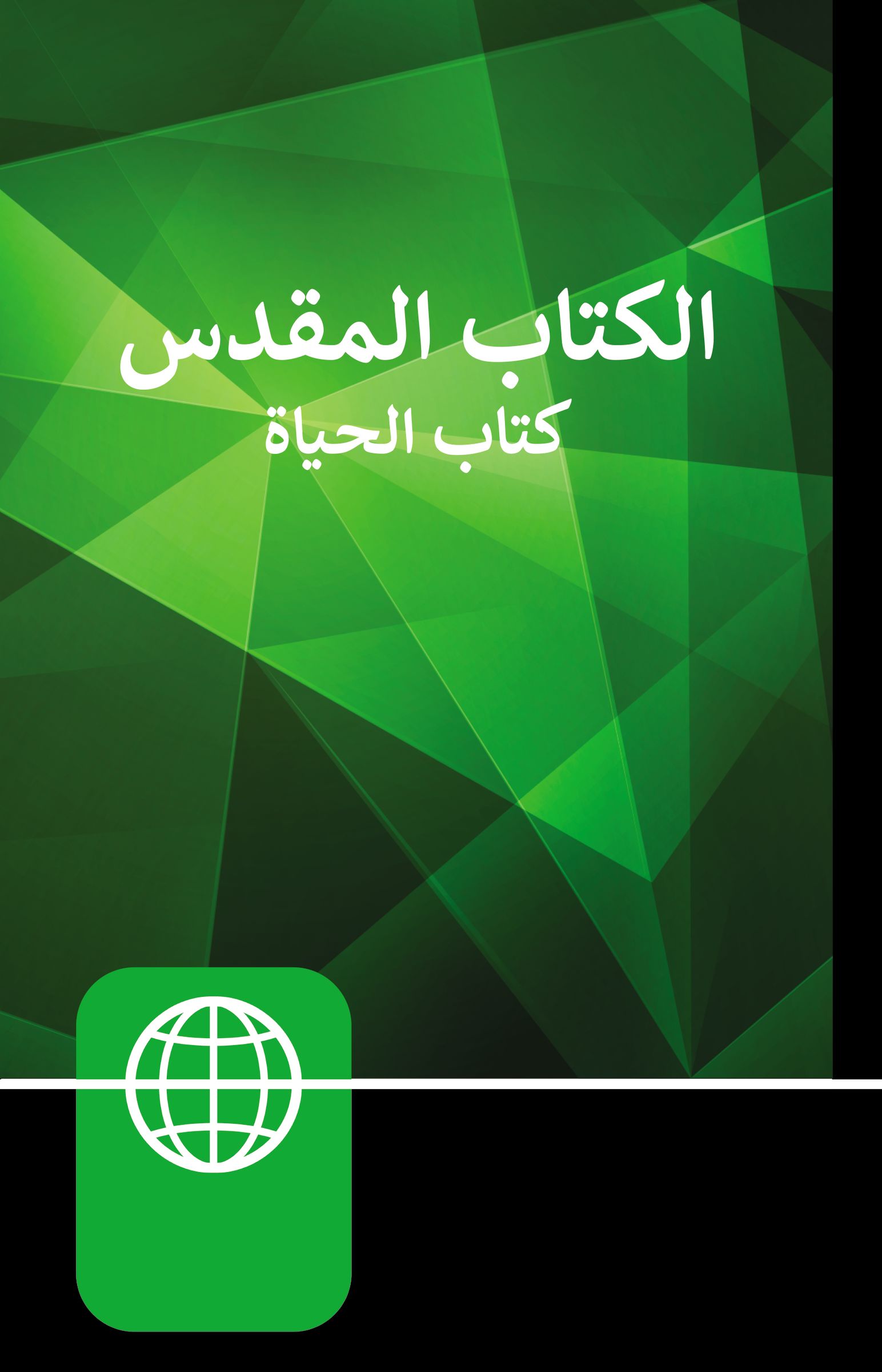 NAV, Arabic Contemporary Bible, Large Print, Hardcover, Burgundy