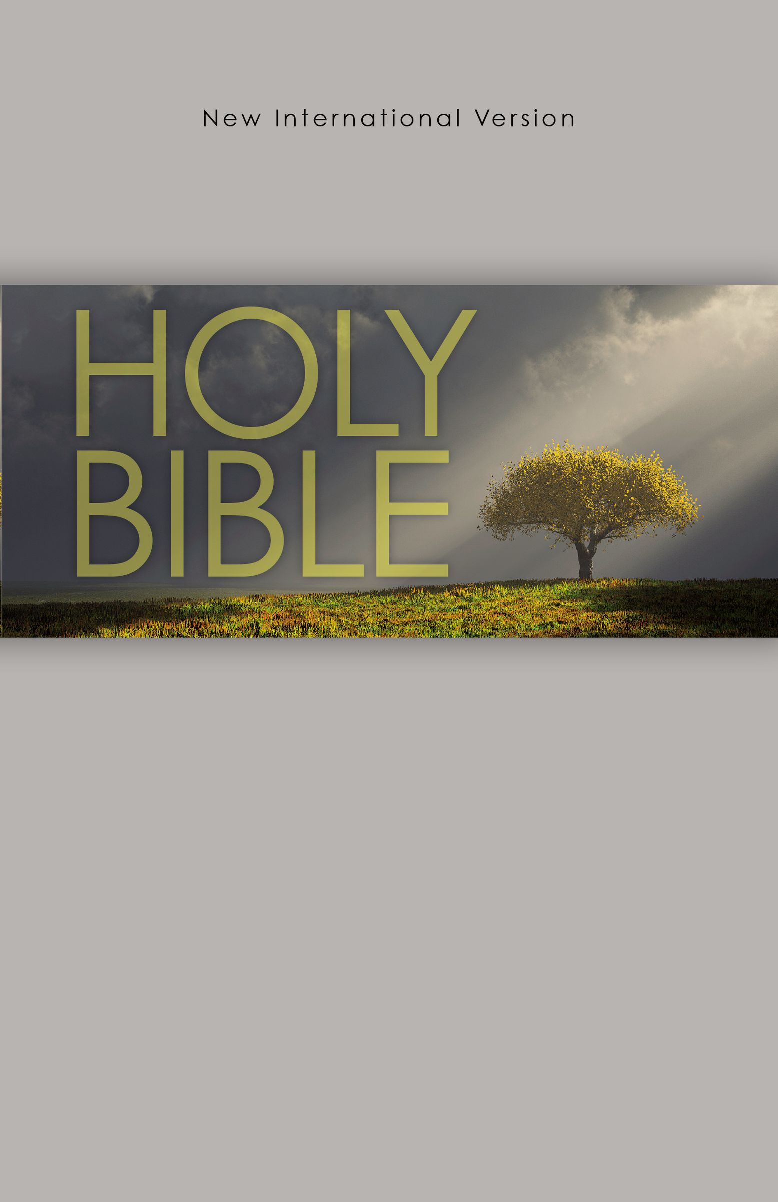 NIV, Outreach Bible, Paperback, Gray