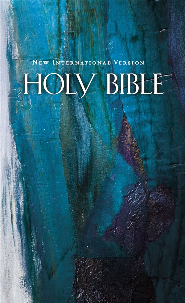NIV, Economy Bible, Hardcover, Blue