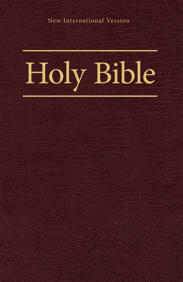 NIV, Worship Bible, Hardcover, Burgundy