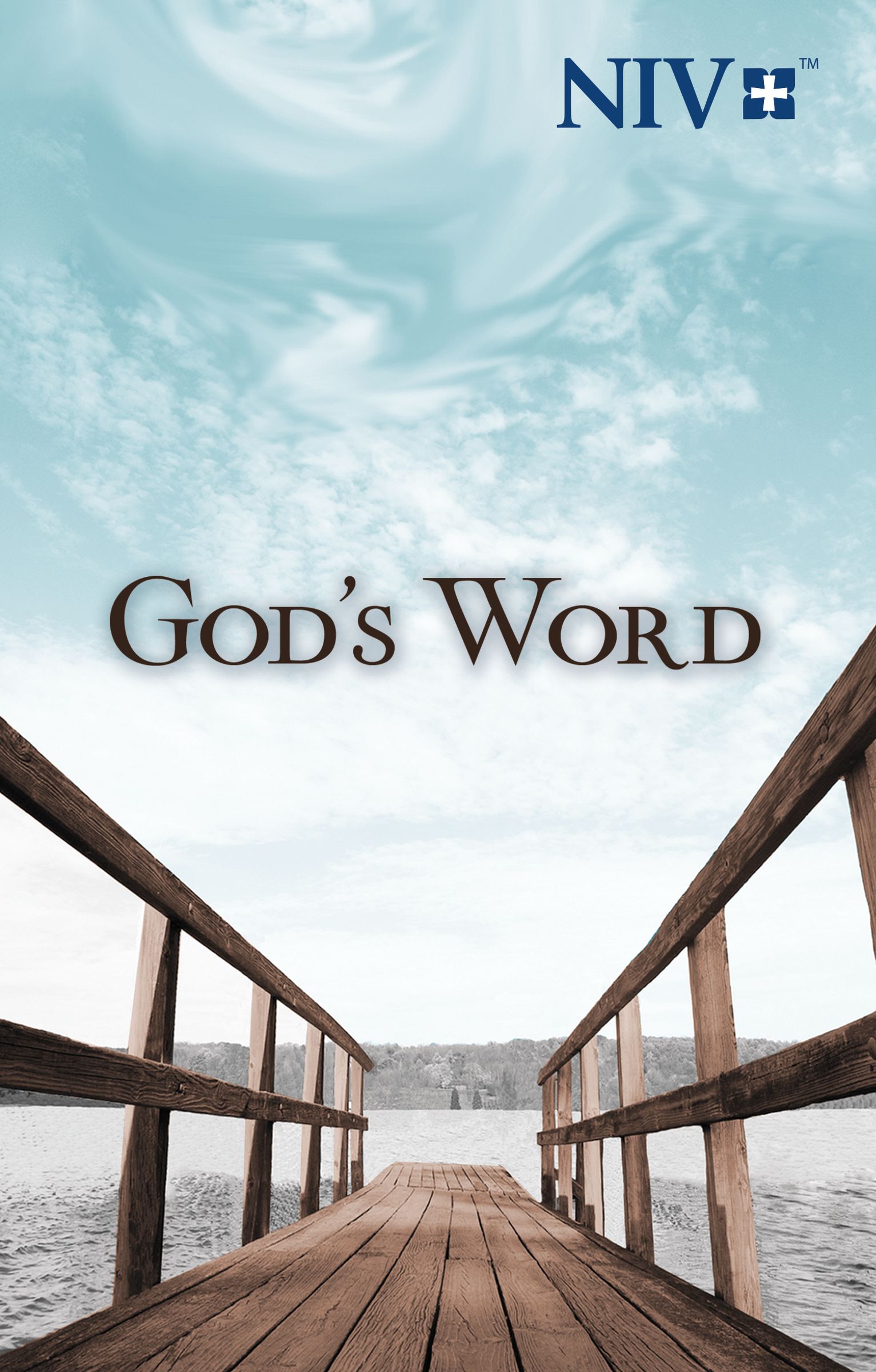 NIV, Holy Bible, Larger Print, Paperback