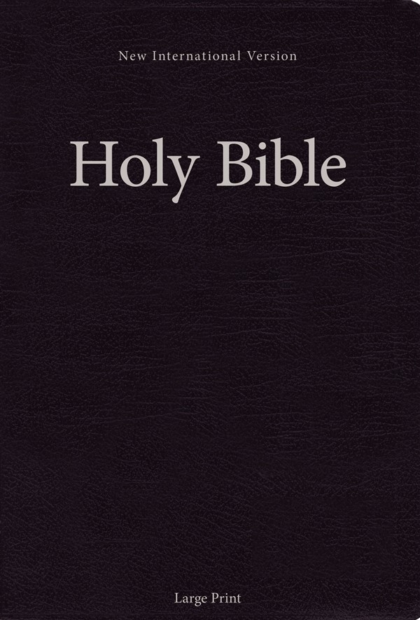 NIV, Holy Bible, Large Print, Paperback, Black