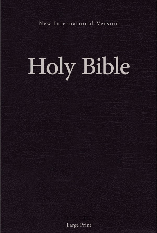 NIV, Holy Bible, Large Print, Hardcover