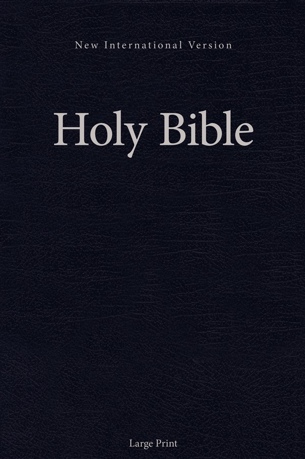 NIV, Holy Bible, Large Print, Blue