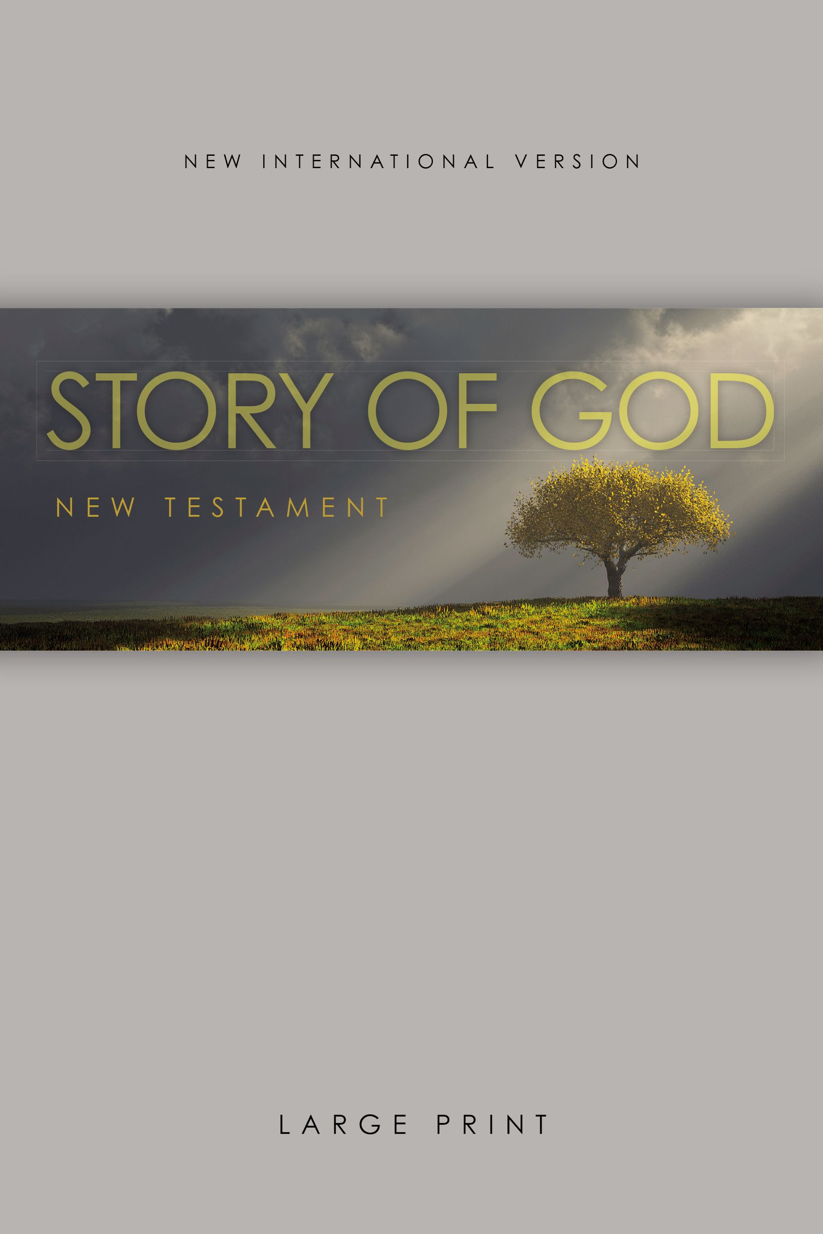 NIV, The Story of God New Testament, Large Print, Paperback