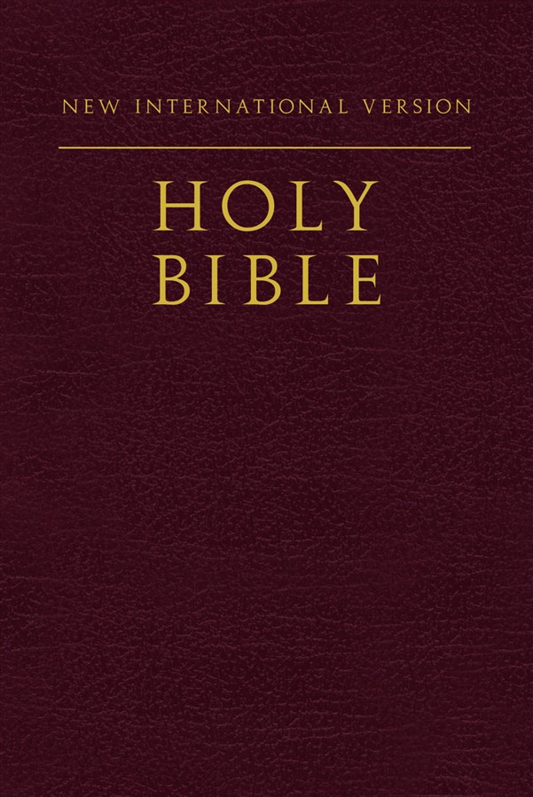 NIV, Holy Bible, Compact, Paperback, Burgundy