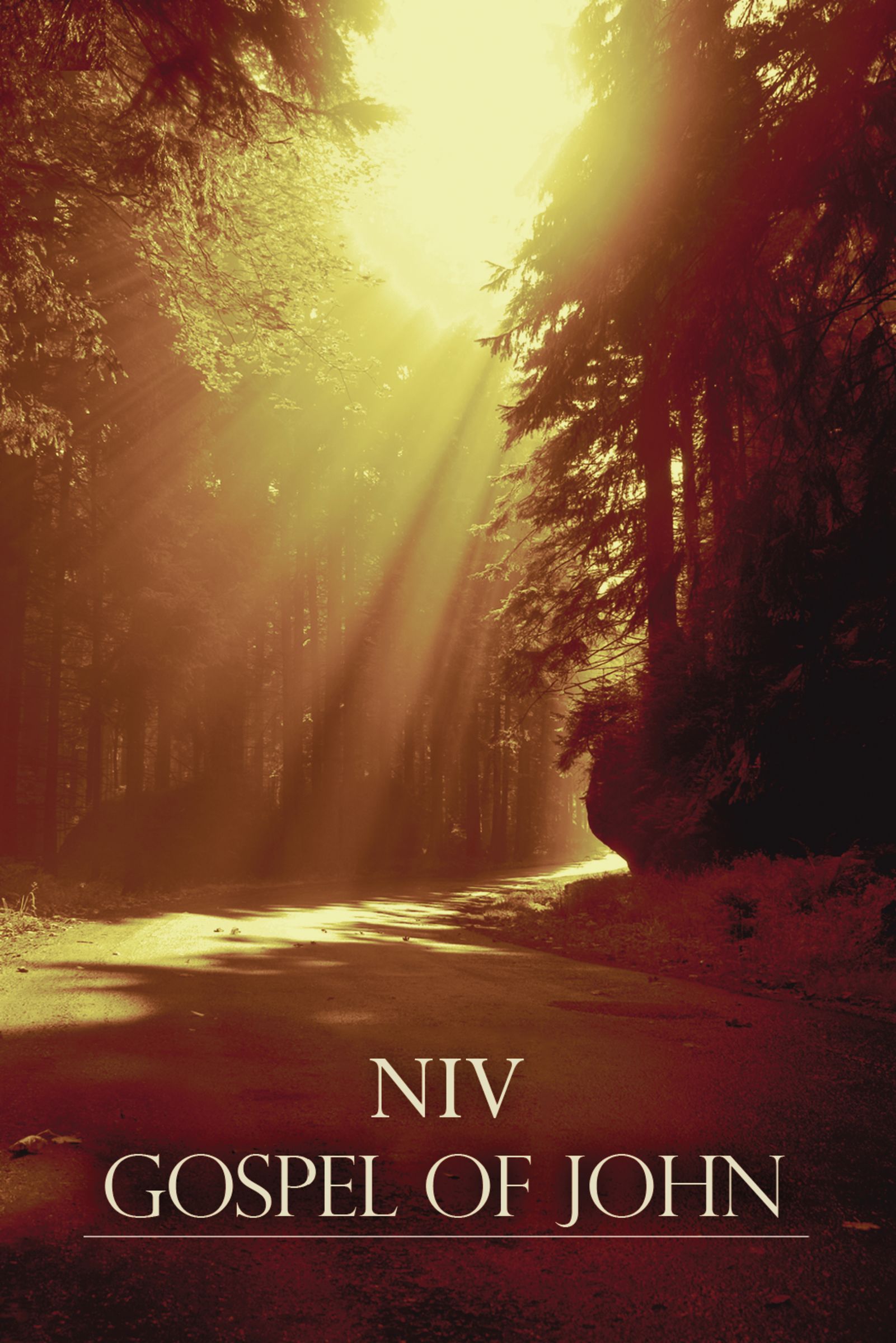 NIV, Gospel of John, Paperback