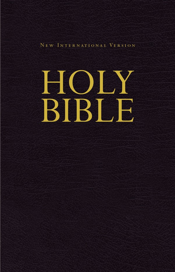 NIV, Economy Bible, Hardcover, Burgundy