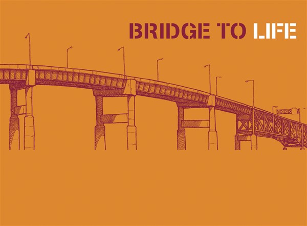 Bridge to Life 50-pack