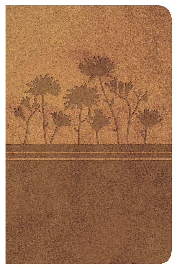 Biblia Clásica Edición Especial