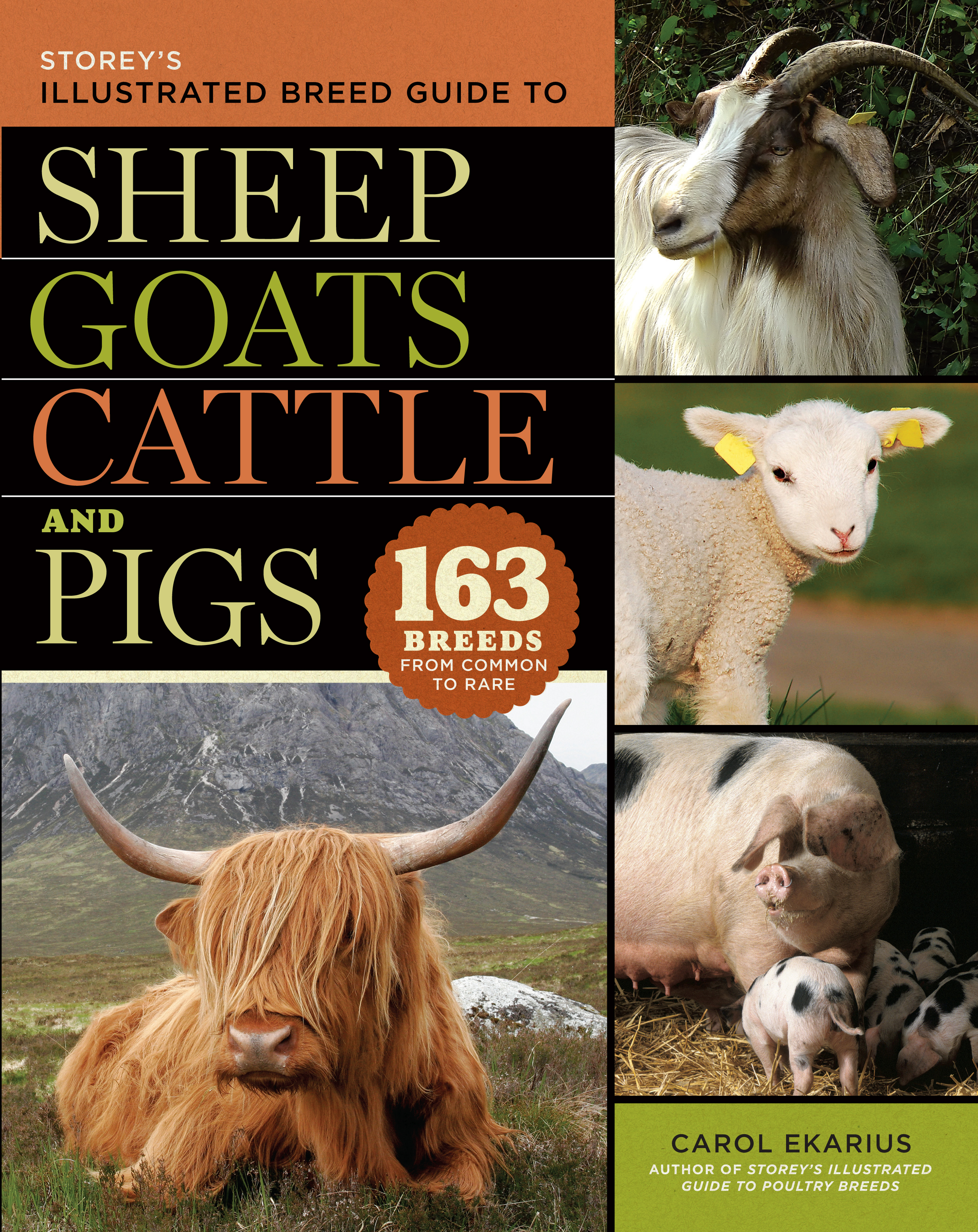 Storey's Illustrated Breed Guide to Sheep, Goats, Cattle and Pigs