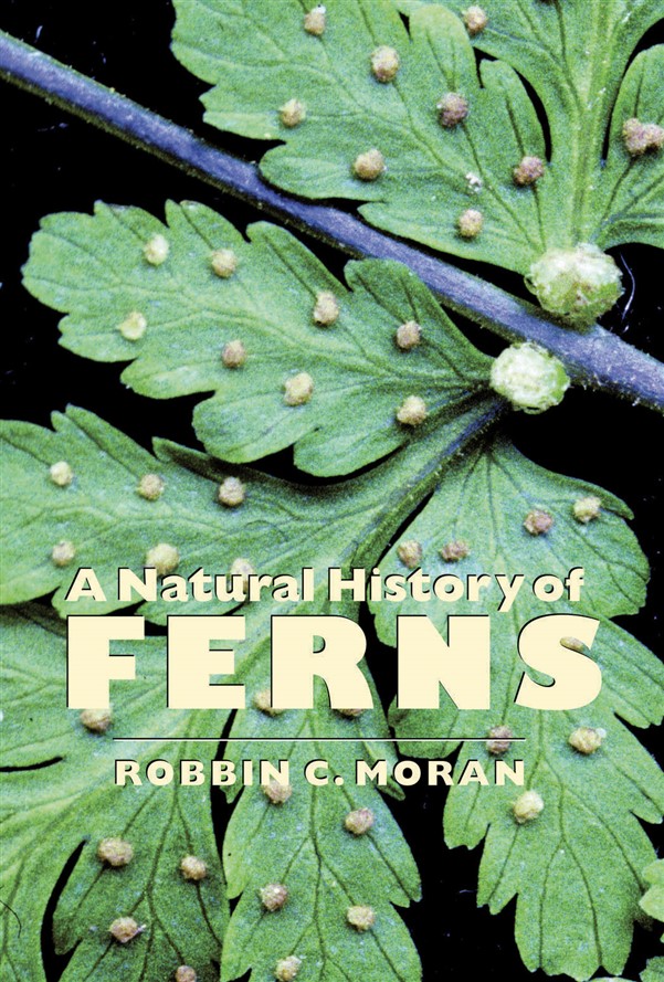 A Natural History of Ferns