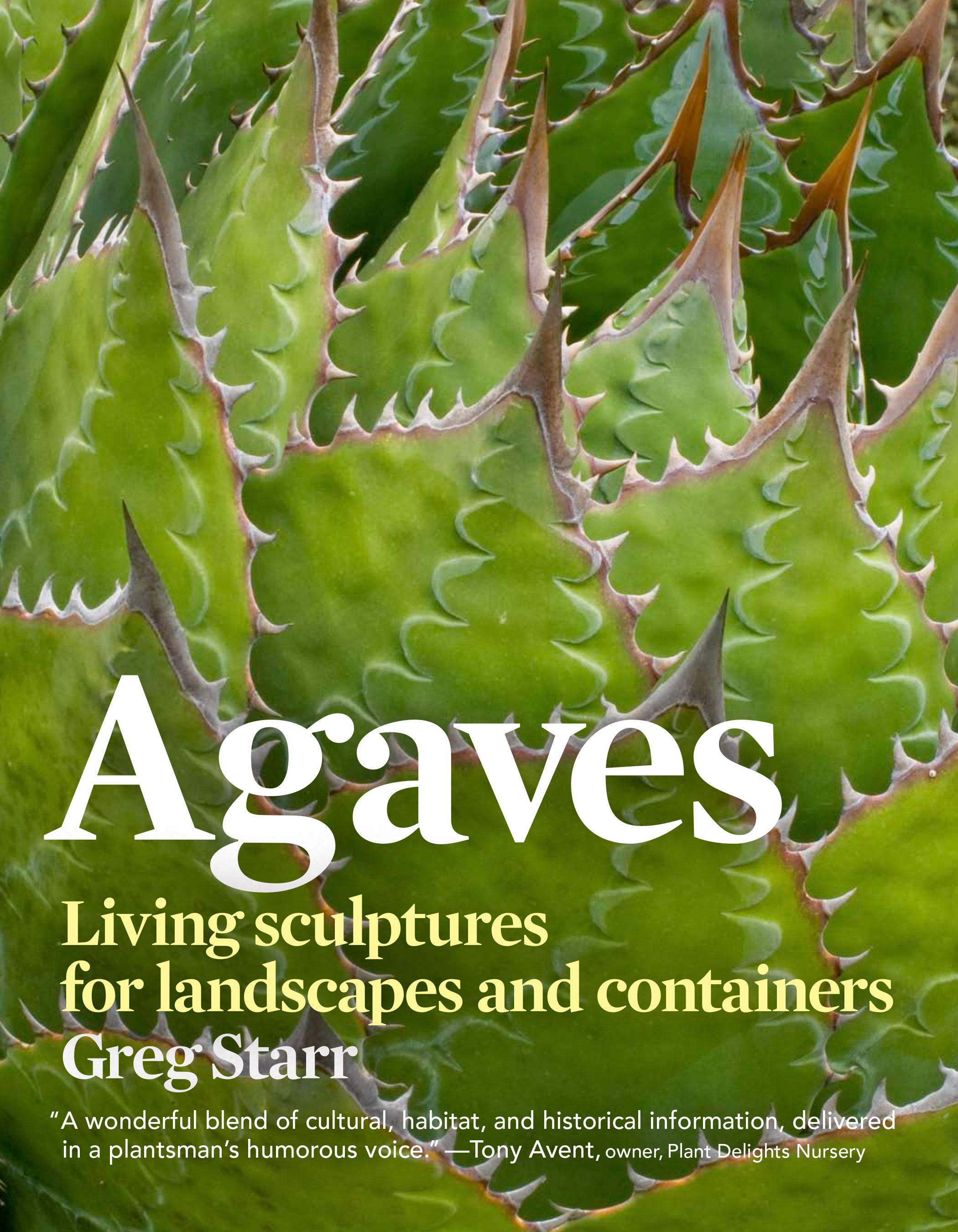 Agaves