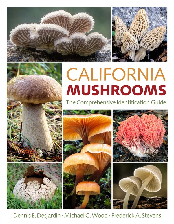 California Mushrooms