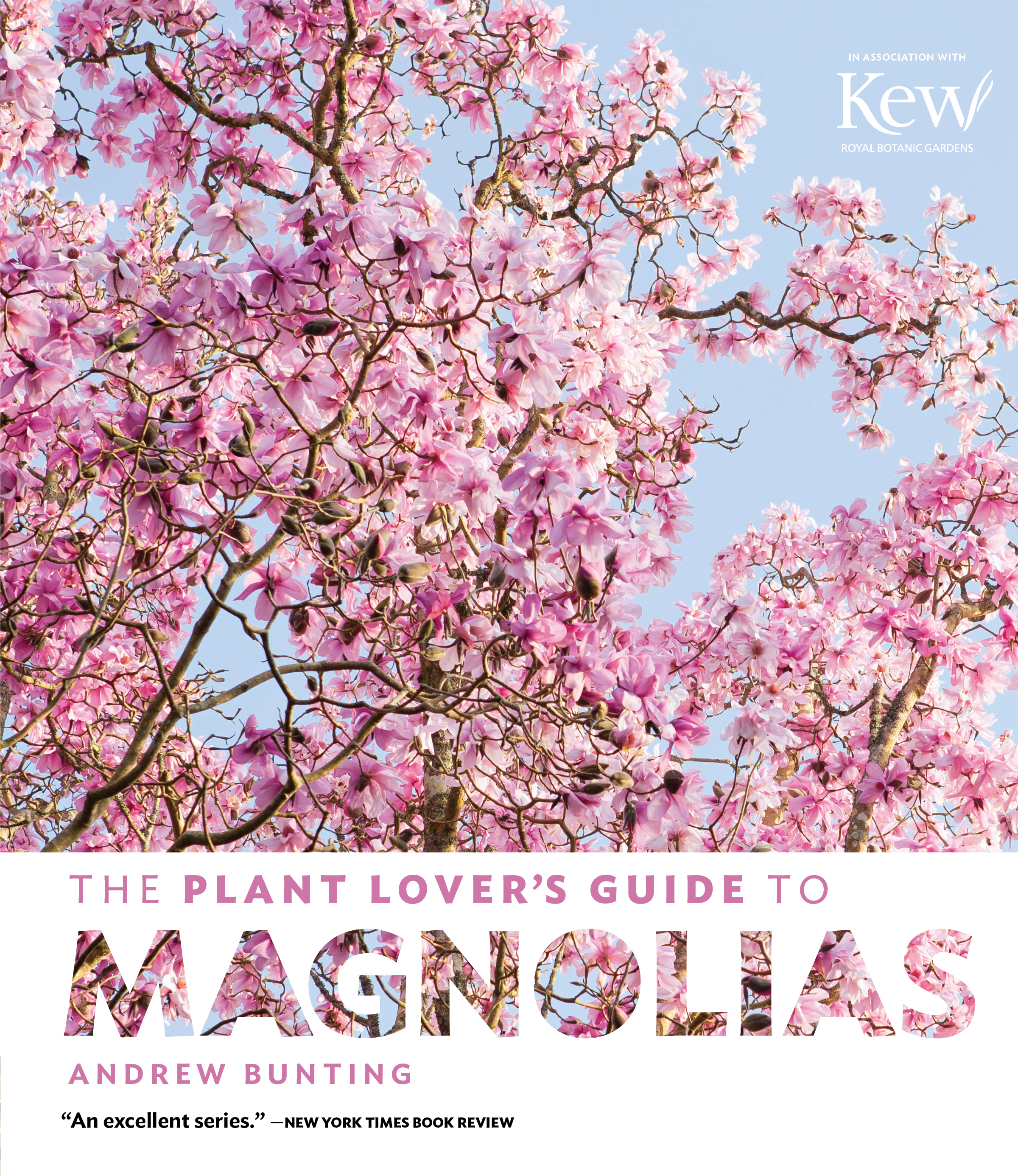 The Plant Lover's Guide to Magnolias
