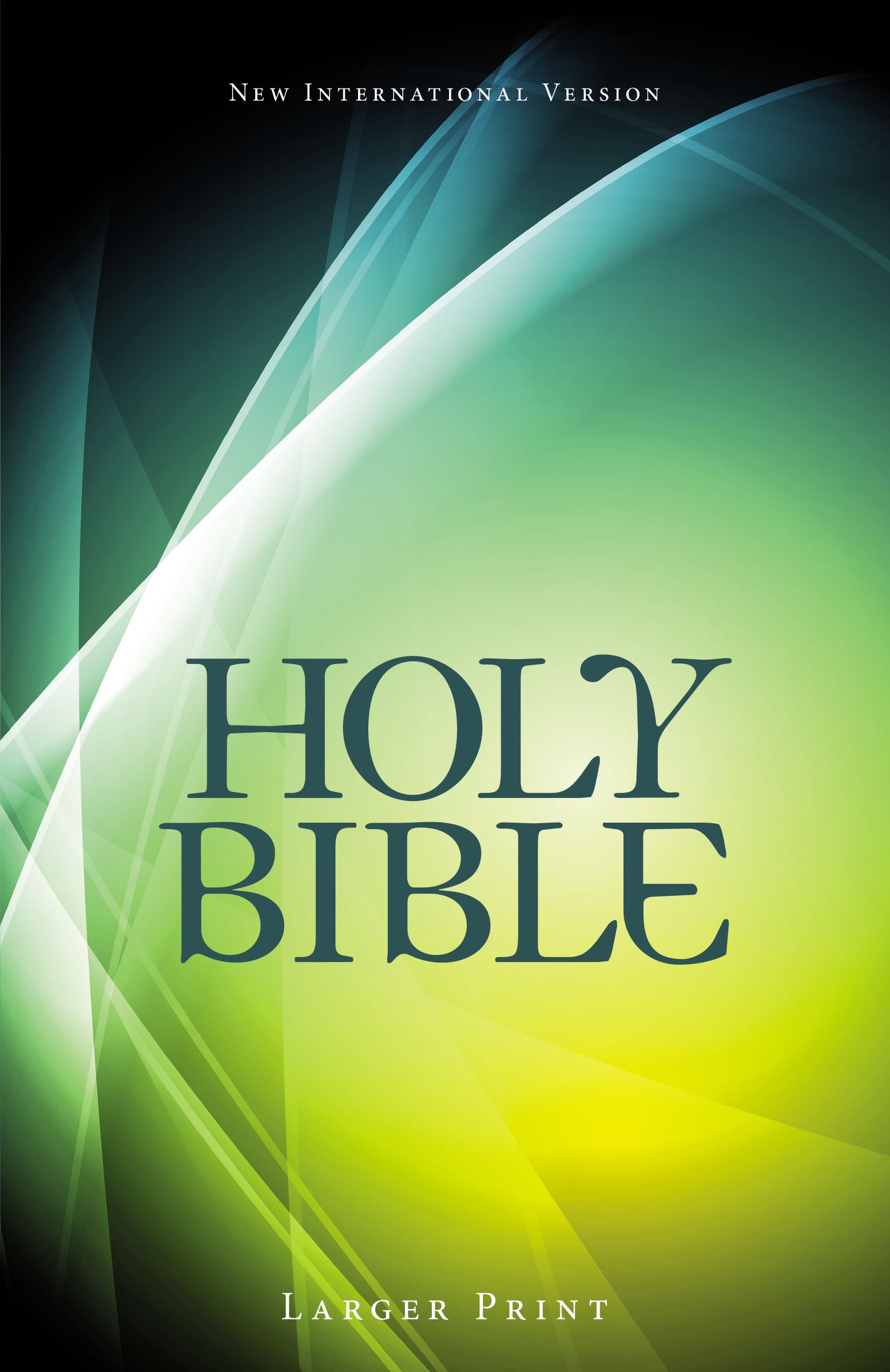 NIV, Holy Bible, Larger Print, Paperback
