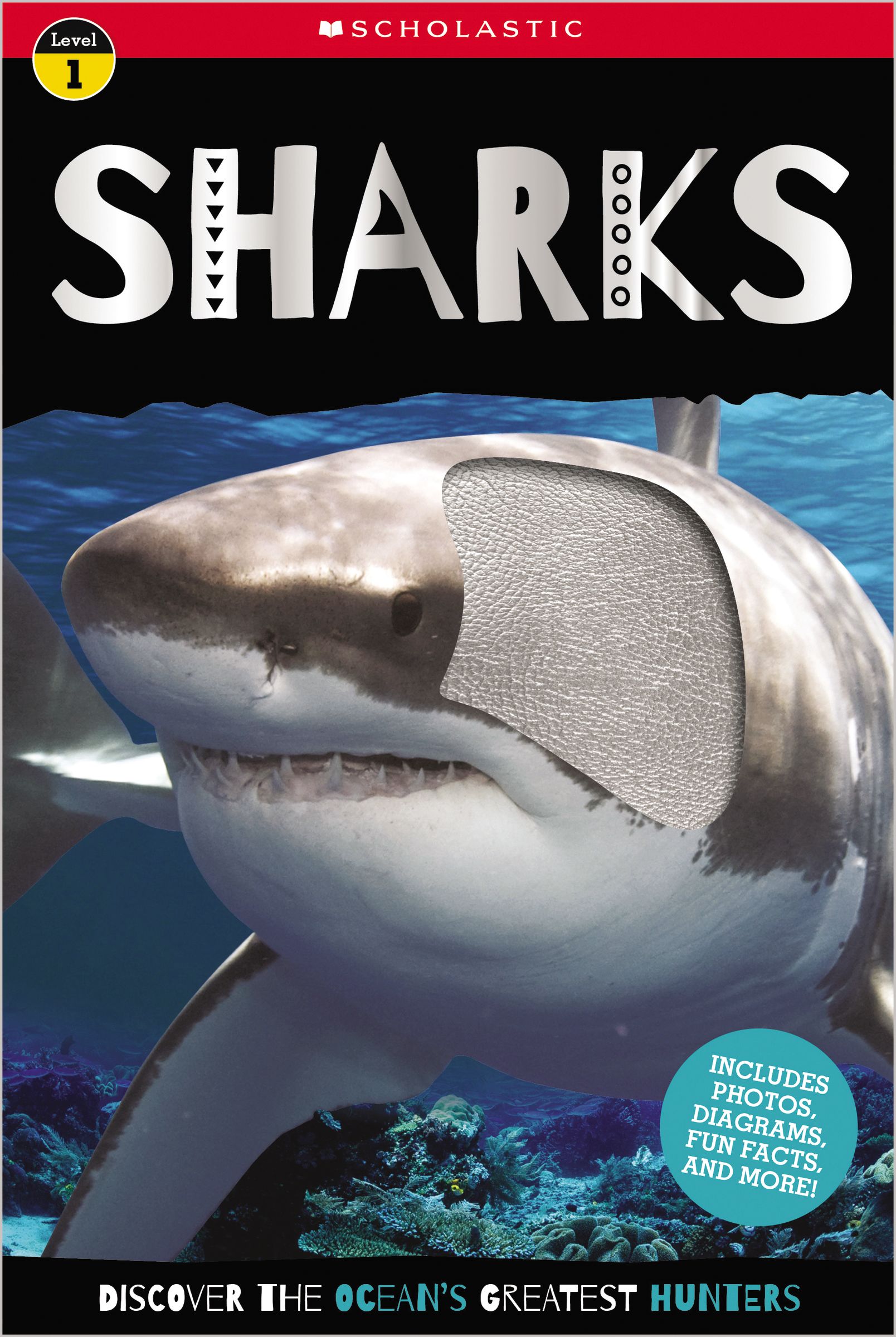 Sharks