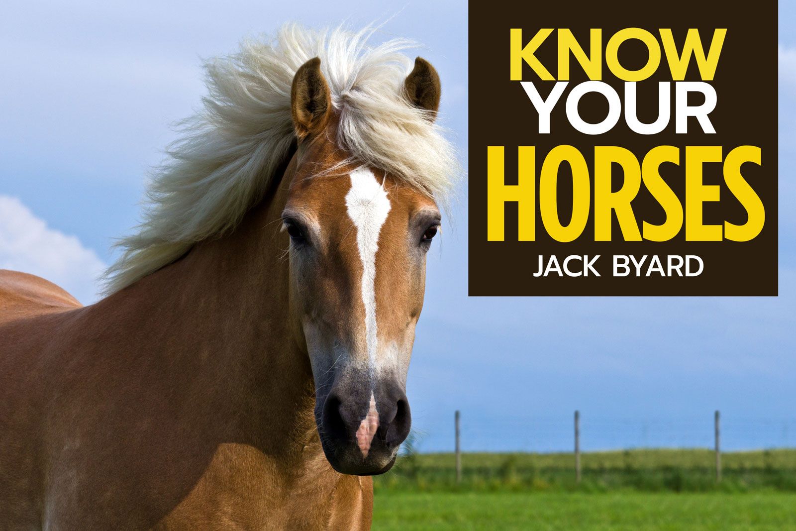 Know Your Horses