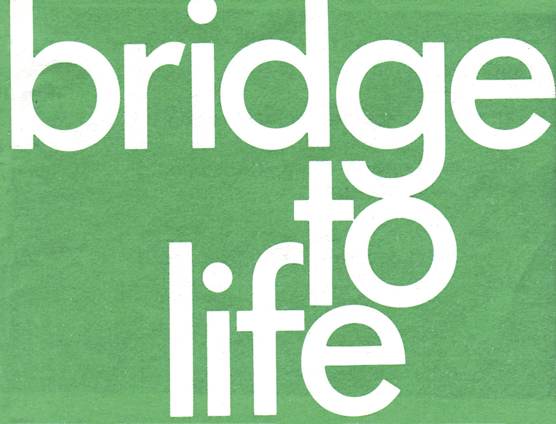 Bridge to Life 50-pack