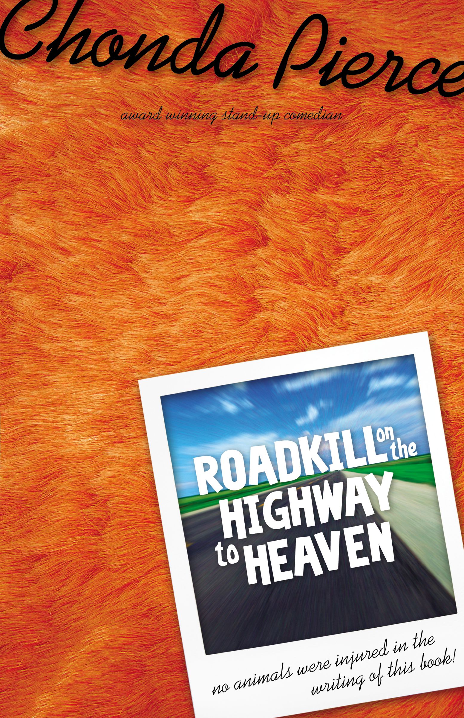 Roadkill on the Highway to Heaven