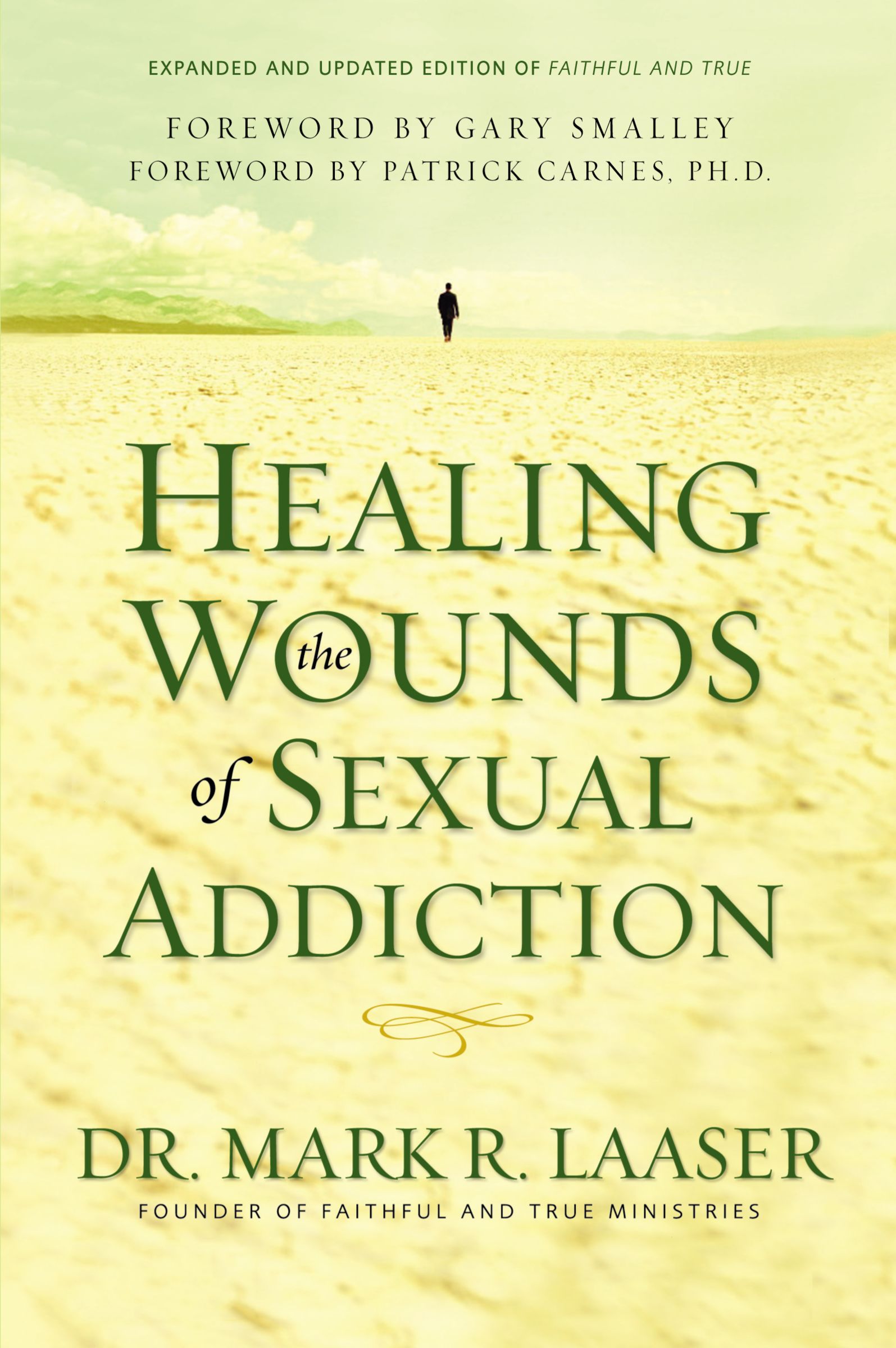 Healing the Wounds of Sexual Addiction