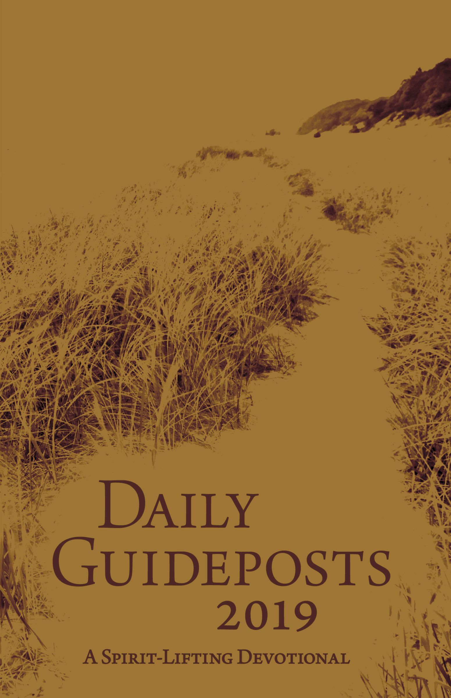 Daily Guideposts 2019 Leather Edition