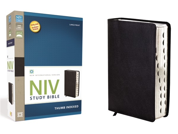 NIV Study Bible, Large Print, Bonded Leather, Black, Red Letter Edition, Thumb Indexed