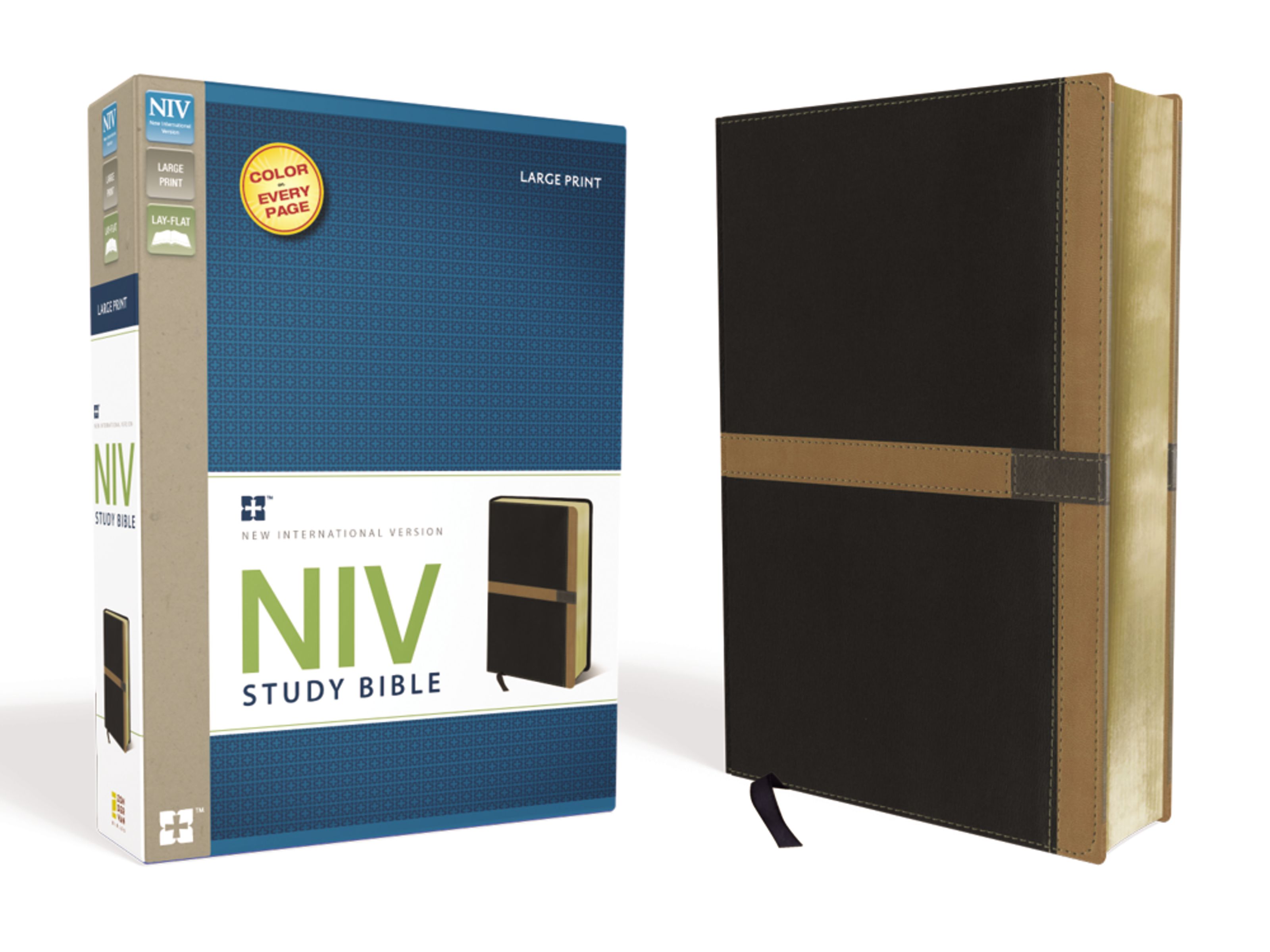 NIV Study Bible, Large Print, Leathersoft, Black/Tan, Red Letter Edition