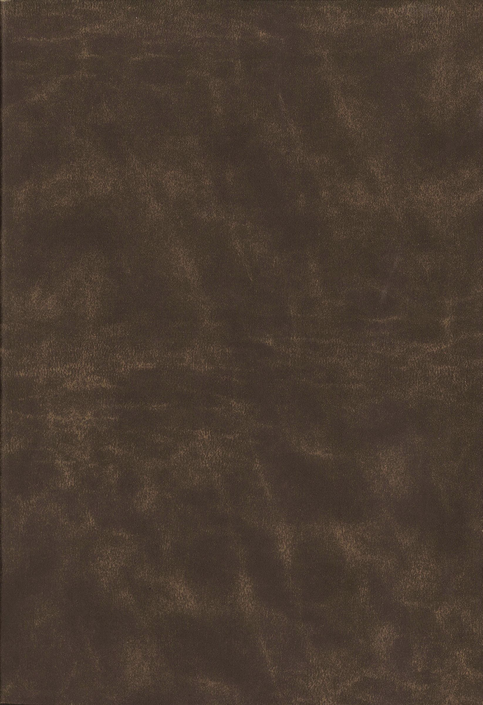 NIV, Life Application Study Bible, Third Edition, Large Print, Bonded Leather, Brown, Red Letter, Thumb Indexed