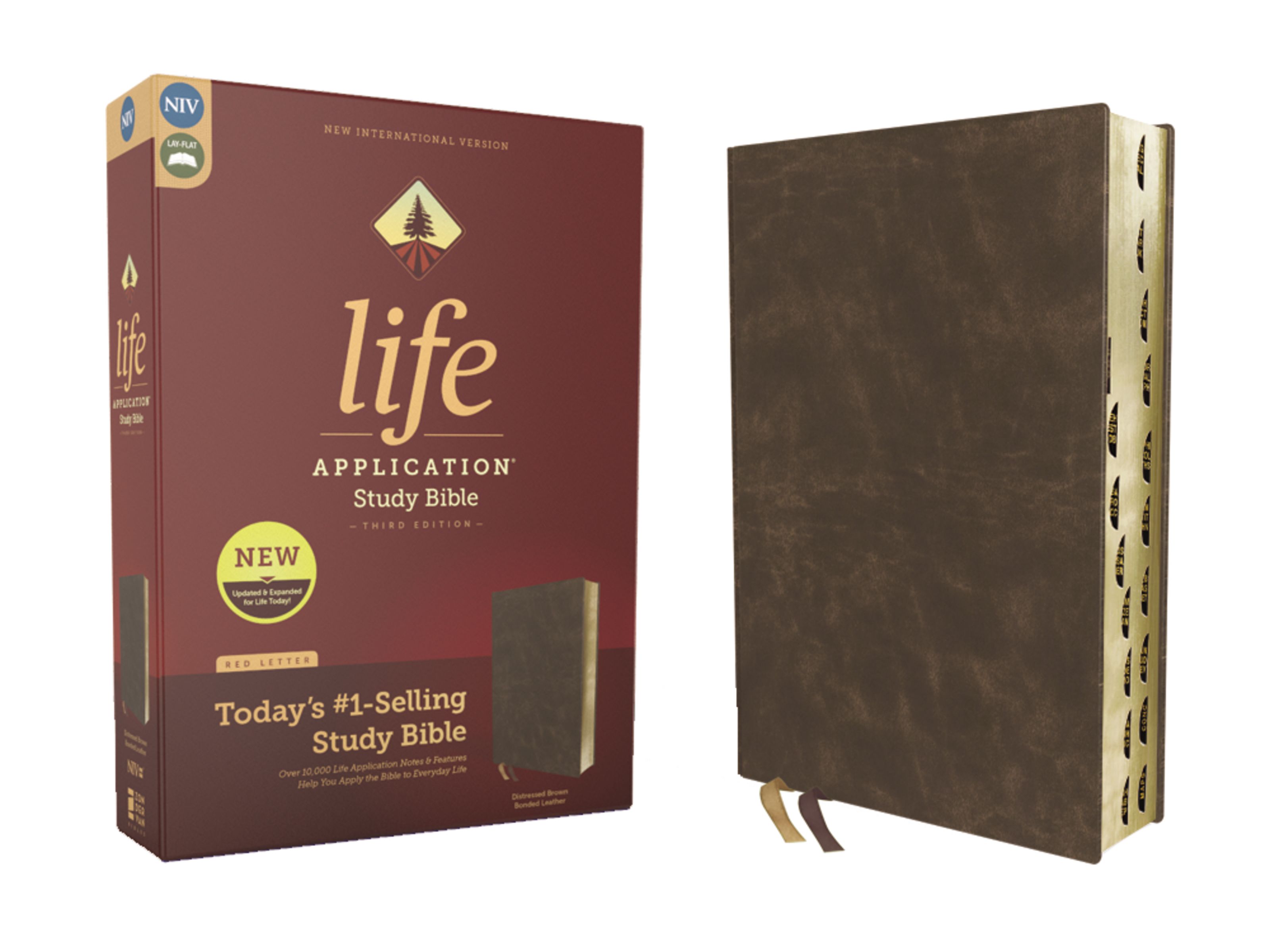 NIV, Life Application Study Bible, Third Edition, Bonded Leather, Brown, Red Letter, Thumb Indexed