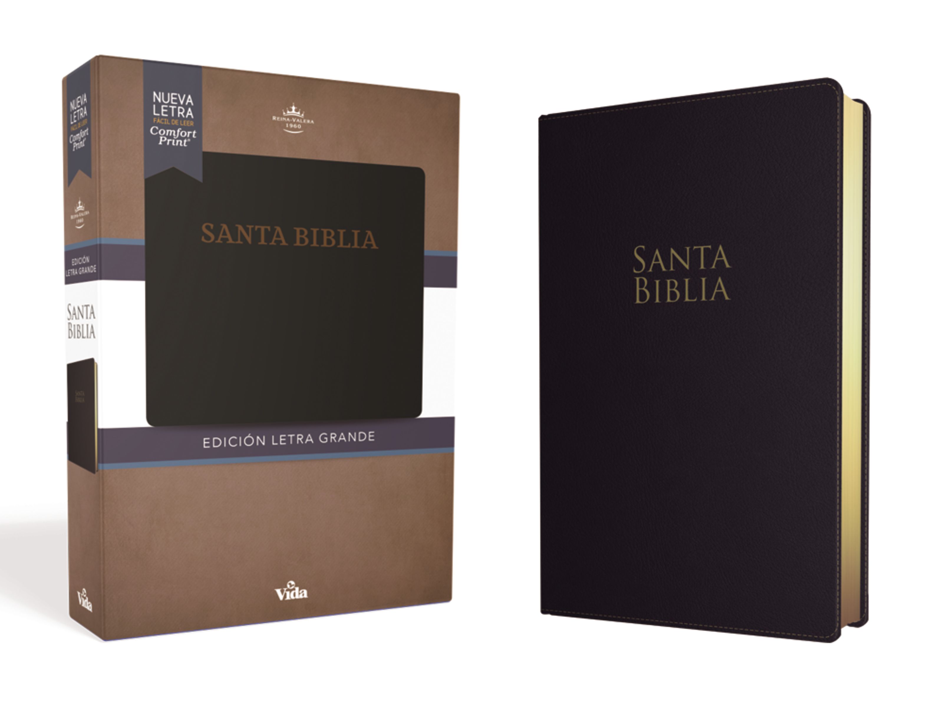 RVR60 Santa Biblia Letra Grande, Leathersoft