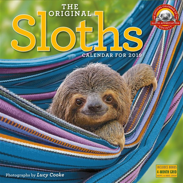 The Original Sloths Wall Calendar 2019