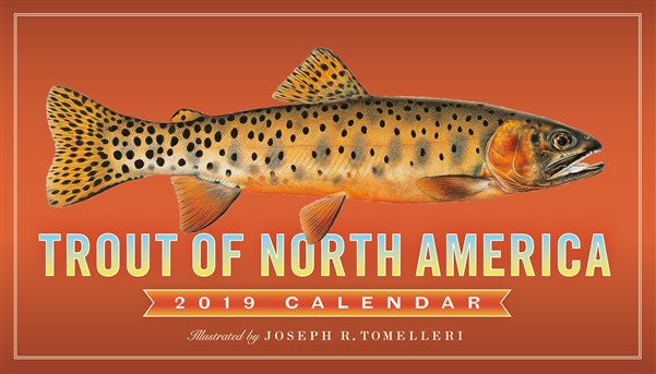 Trout of North America Wall Calendar 2019